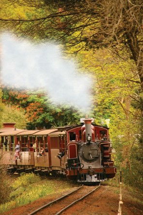 Puffing Billy - Accommodation Tasmania 5