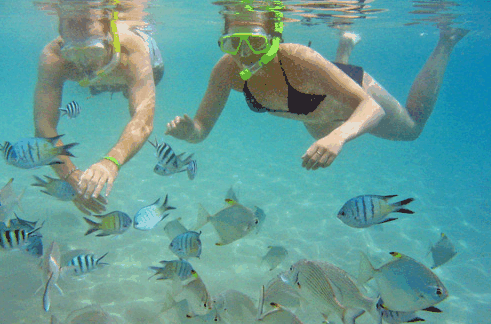 Australian Kayaking Adventures - thumb 2