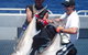 Blue Juice Charters - thumb 0