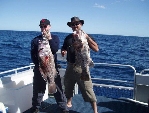 Blue Juice Charters - Accommodation Tasmania 2