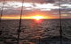 Blue Juice Charters - thumb 5