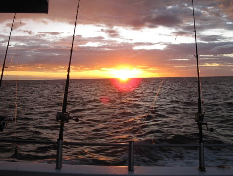 Blue Juice Charters - Accommodation Tasmania 5