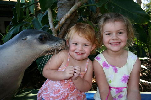 Dolphin Marine Magic - Accommodation Tasmania 0