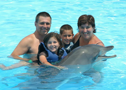 Dolphin Marine Magic - Accommodation Tasmania 2