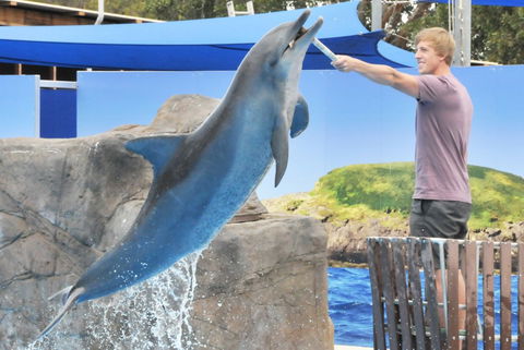 Dolphin Marine Magic - Accommodation Tasmania 7