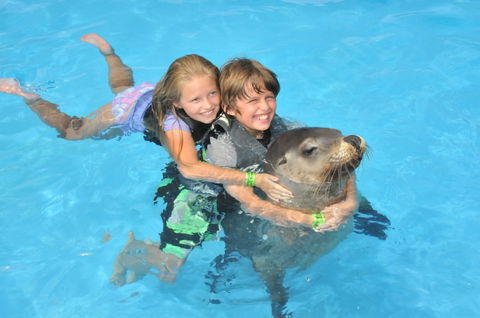Dolphin Marine Magic - Accommodation Tasmania 9