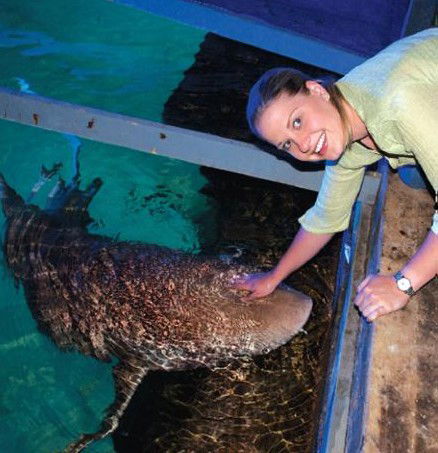 National Zoo & Aquarium - Accommodation Tasmania 7