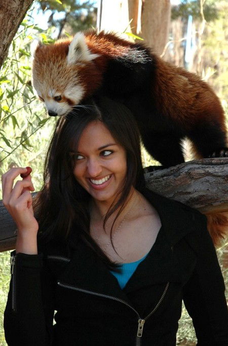 National Zoo & Aquarium - Accommodation Tasmania 8