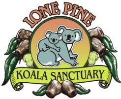 Lone Pine Koala Sanctuary - Accommodation Tasmania 0