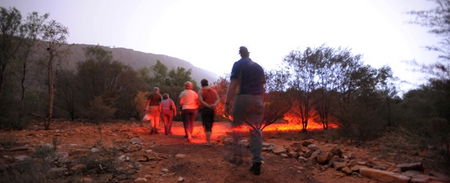Alice Springs Desert Park - Accommodation Tasmania 4