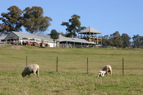 Calmsley Hill City Farm - Accommodation Tasmania 3