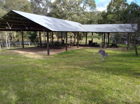 Calmsley Hill City Farm - Accommodation Tasmania 5