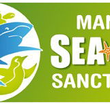 Manly SEA LIFE Sanctuary - Accommodation Tasmania