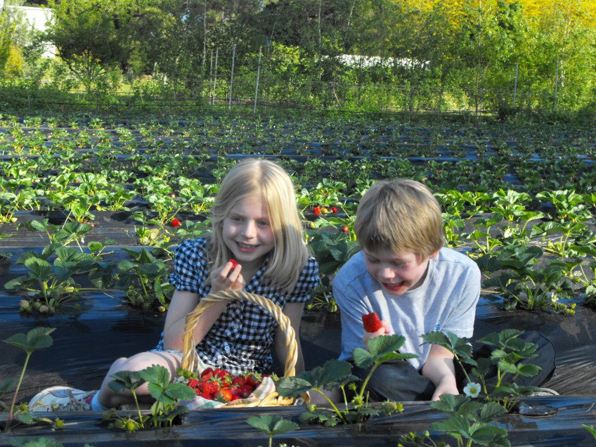  Accommodation Tasmania