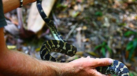 Queensland Day Tours - Accommodation Tasmania 1