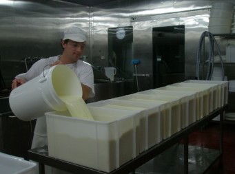 Witches Chase Cheese Co - Accommodation Tasmania 1