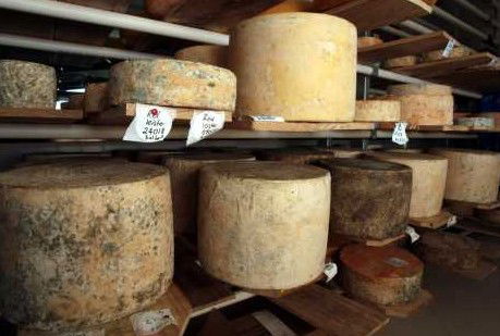 Witches Chase Cheese Co - Accommodation Tasmania 3