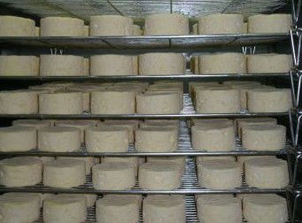 Witches Chase Cheese Co - Accommodation Tasmania 5