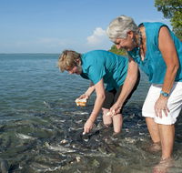 Aquascene Fish Feeding Sanctuary - Accommodation Tasmania