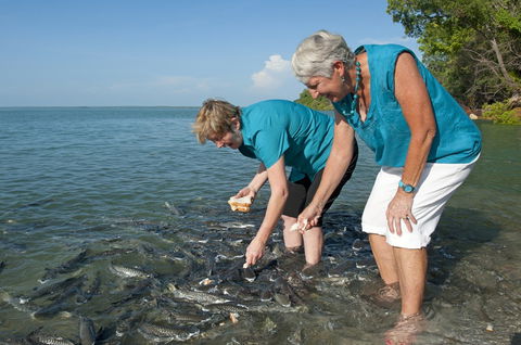 Aquascene Fish Feeding Sanctuary - Accommodation Tasmania 0