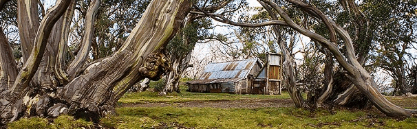 High Country Scenic Tours - Accommodation Tasmania