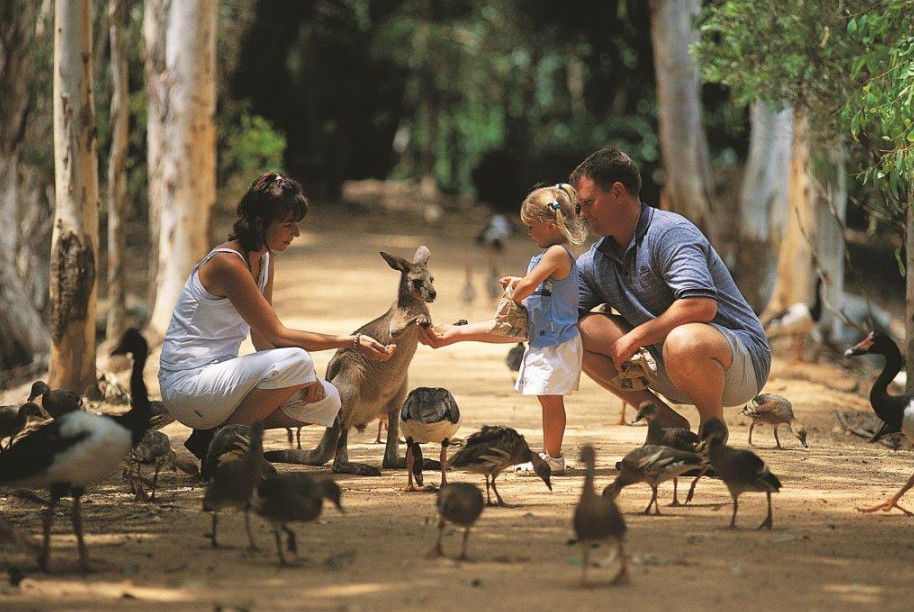 Rowes Bay QLD Accommodation Tasmania