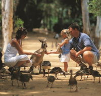 Billabong Sanctuary - Accommodation Tasmania