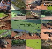 The Malcolm Douglas Crocodile Park - Accommodation Tasmania