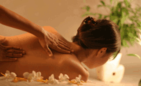 Blush Beauty Saloons - Accommodation Tasmania 1