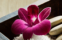 Blush Beauty Saloons - Accommodation Tasmania 4