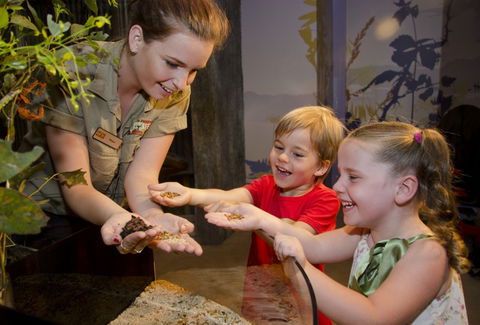WILD LIFE Sydney Zoo - Accommodation Tasmania 1