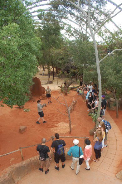 WILD LIFE Sydney Zoo - Accommodation Tasmania 2