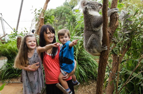 WILD LIFE Sydney Zoo - Accommodation Tasmania 3