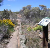 Christmas Rock Walk - Accommodation Tasmania
