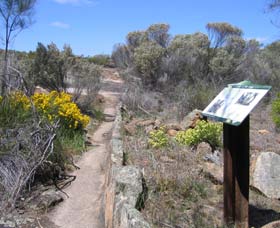 Christmas Rock Walk - Accommodation Tasmania 0