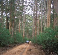 Boranup Drive - Accommodation Tasmania