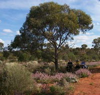 Karlkurla Bushland Park - Accommodation Tasmania