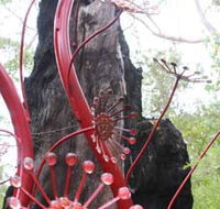 Understory Art In Nature - Accommodation Tasmania