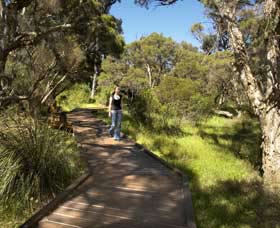 Leschenault Peninsula Conservation Park - Accommodation Tasmania 0