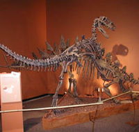 Denmark Dinosaur World - Accommodation Tasmania