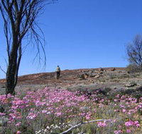 Talgomine Reserve - Accommodation Tasmania