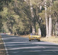 Ludlow Tuart Forest - Accommodation Tasmania