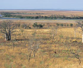 Marglu Billabong - Accommodation Tasmania 0