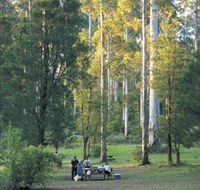 Big Brook Arboretum - Accommodation Tasmania
