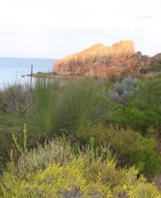 Meelup Trail - Accommodation Tasmania 0