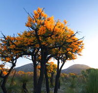Cape Le Grand National Park - Accommodation Tasmania