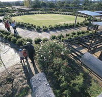 Kojonup Rose Maze - Accommodation Tasmania