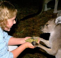 Discovery Bay's Walk on the Wild Side - Accommodation Tasmania