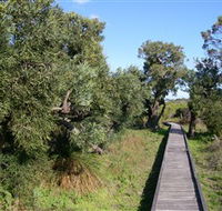 Kepwari Trails Wetland Wonderland - Accommodation Tasmania