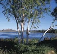 Celebrity Tree Park - Accommodation Tasmania